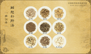 解怒补肝汤