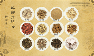 解郁开结汤