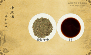 净肌汤