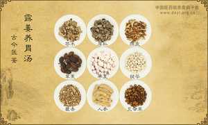 露姜养胃汤