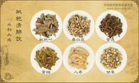 枇杷清肺饮