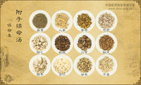 附子续命汤