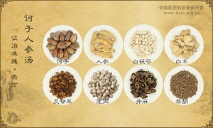 诃子人参汤《证治准绳·类方》卷六