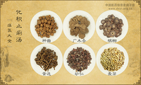 化积止痢汤