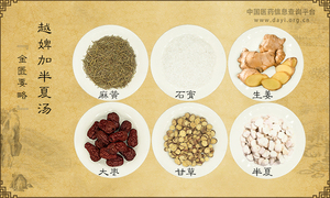 越婢加半夏汤