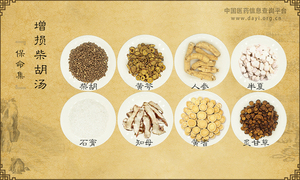 增损柴胡汤