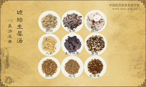 琥珀生犀汤