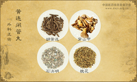 黄连闭管丸