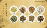 搜风大九宝饮