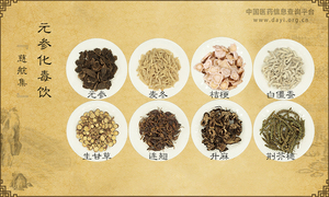 元参化毒饮