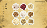 温肺汤
