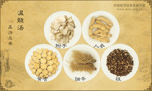 温髓汤