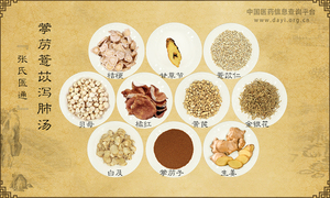葶苈薏苡泻肺汤