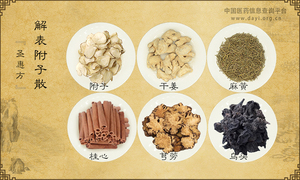 解表附子散