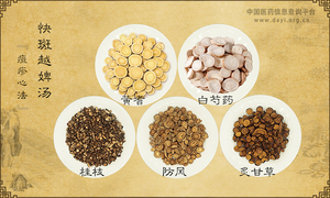 快斑越婢汤