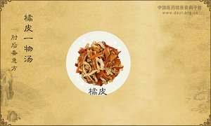 橘皮一物汤