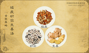 橘皮枳实生姜汤
