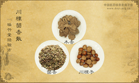 川楝茴香散
