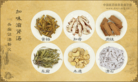 加味滋肾汤