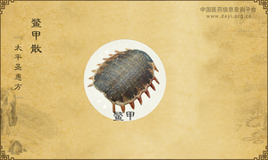 鳖甲散