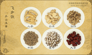 飞步饮