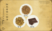 防风黄芩二物汤