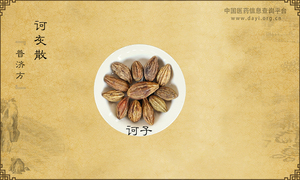 诃灰散《普济方》卷三八八