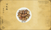 诃灰散《普济方》卷三八八