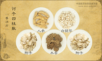 诃子四桂散