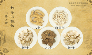诃子四桂散