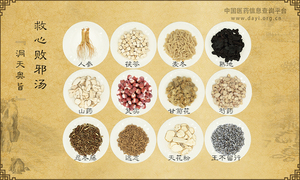 救心败邪汤