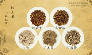 救真汤