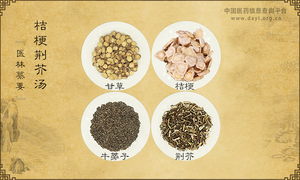 桔梗荆芥汤