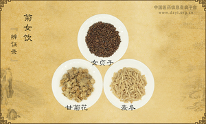 菊女饮
