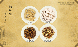 款肺汤