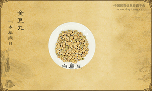 金豆丸