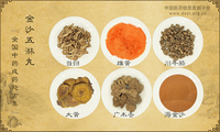 金沙五淋丸