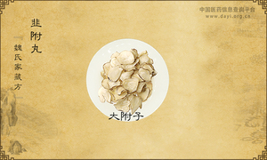 韭附丸