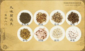 九味萸连丸