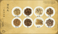 菊花丸