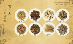 菊花丸