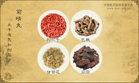 菊睛丸