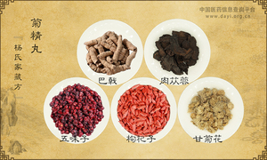 菊精丸