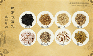 坎离既济丸