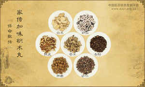 家传加味枳术丸