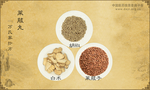 莱菔丸