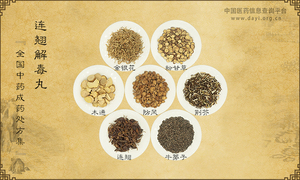 连翘解毒丸