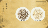 莲肉丸