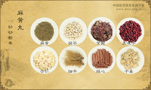 麻黄丸