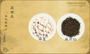 圣金丸